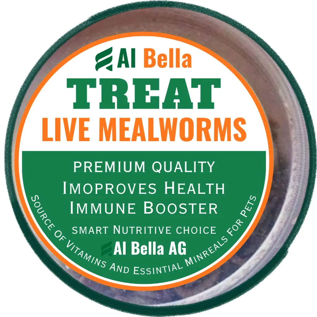 Al Bella Treat Mealworms (1500 Live Larvas)                  100% Natural, Premium Quality.