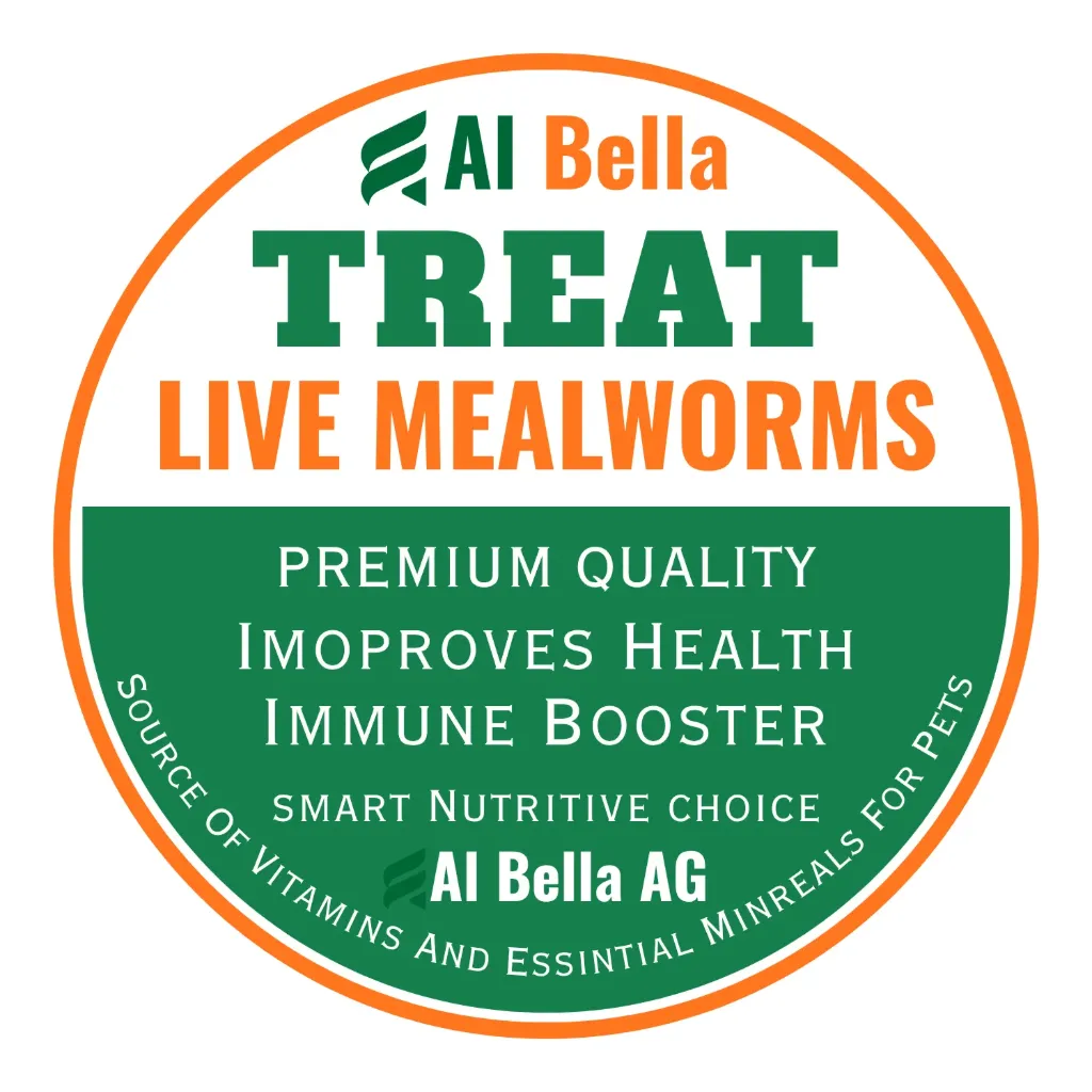 Al Bella Treat Mealworms (600 Live Larvas) 100% Natural, Premium Quality