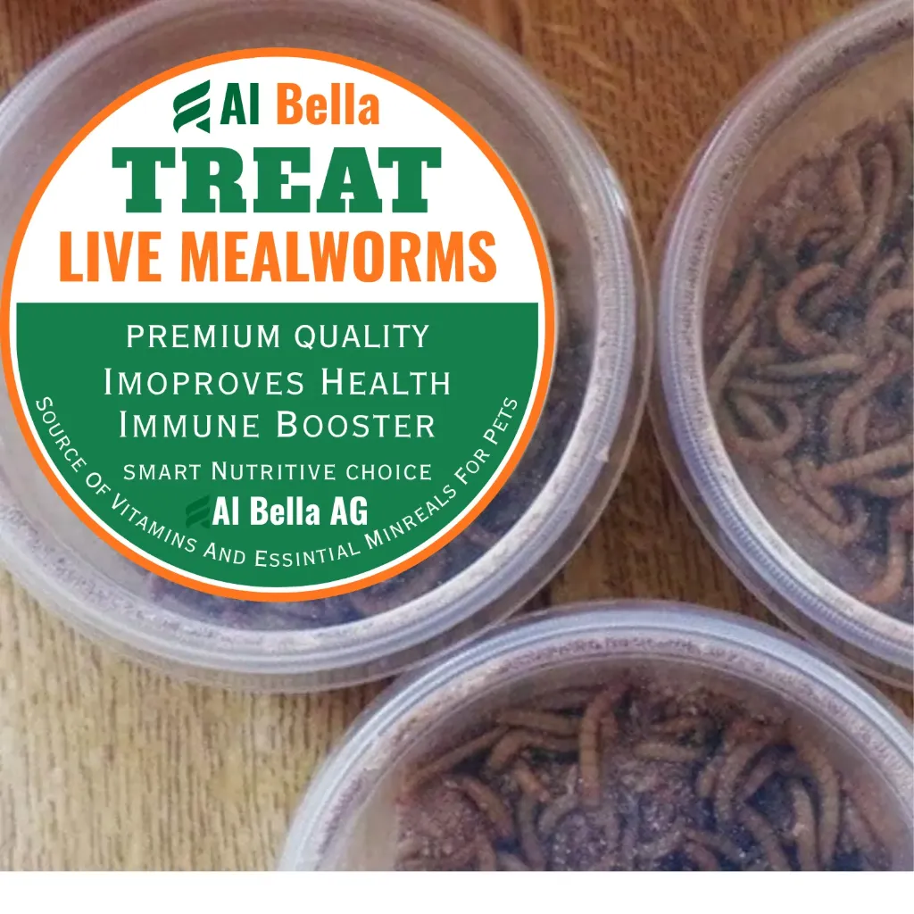 Al Bella Treat Mealworms (3000 Live Larvas) 100% Natural, Premium Quality
